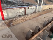 Foto van Boslijn-Floraflex