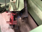 Foto van Boslijn- Van den Berg