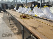 Foto van Transportband-Bercomex