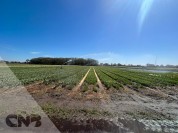 Foto van Haspel-Ferbo 90-400