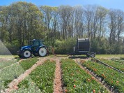 Foto van Haspel-Ferbo 90-400