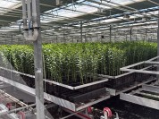 Foto van Roltafelsysteem-Bosnan van Zaal
