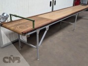 Foto van Transportband-Bercomex 80x650