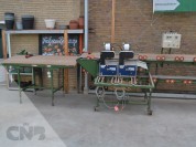 Foto van Boslijn