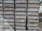 Foto van houten gaasbakken 75x50