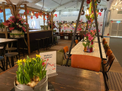 CNB.nl | Lentetuin Breezand