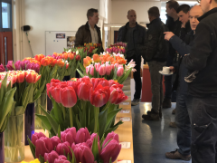 Highlighted image: Een succesvolle marktbroeishow