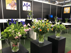 Highlighted image: Iris promotie op Trade Fair