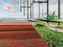 Highlighted image: Producten